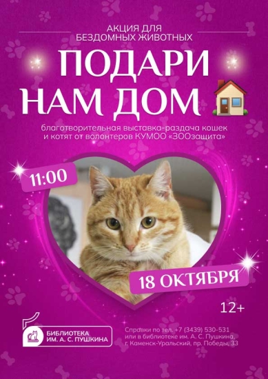 Подари нам дом: акция для бездомных животных