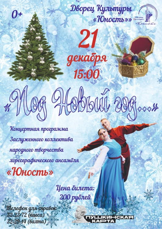 Концертная программа «Под Новый год»