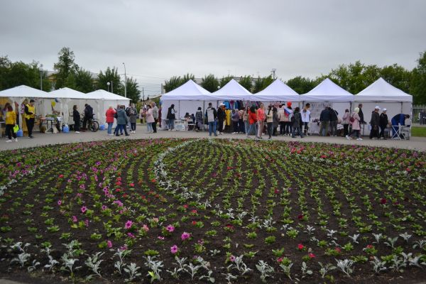 Подробнее...